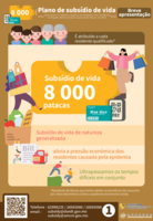 Infografia do plano subs%c3%addio de vida %e2%80%93 breve apresenta%c3%a7%c3%a3o